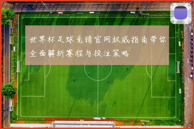世界杯足球竞猜官网权威指南带你全面解析赛程与投注策略