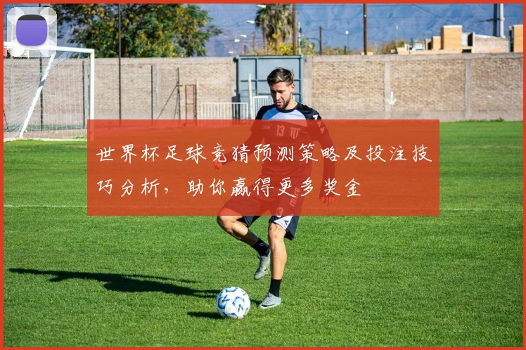 世界杯足球竞猜预测策略及投注技巧分析，助你赢得更多奖金