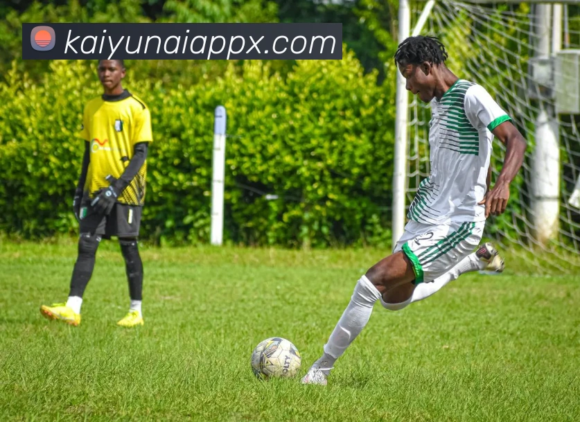 开云平台展示图