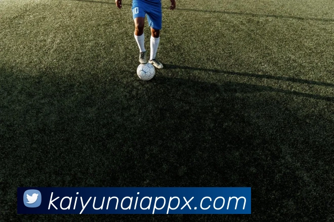 开云APP官方免费下载，畅享全新购物体验与优质服务